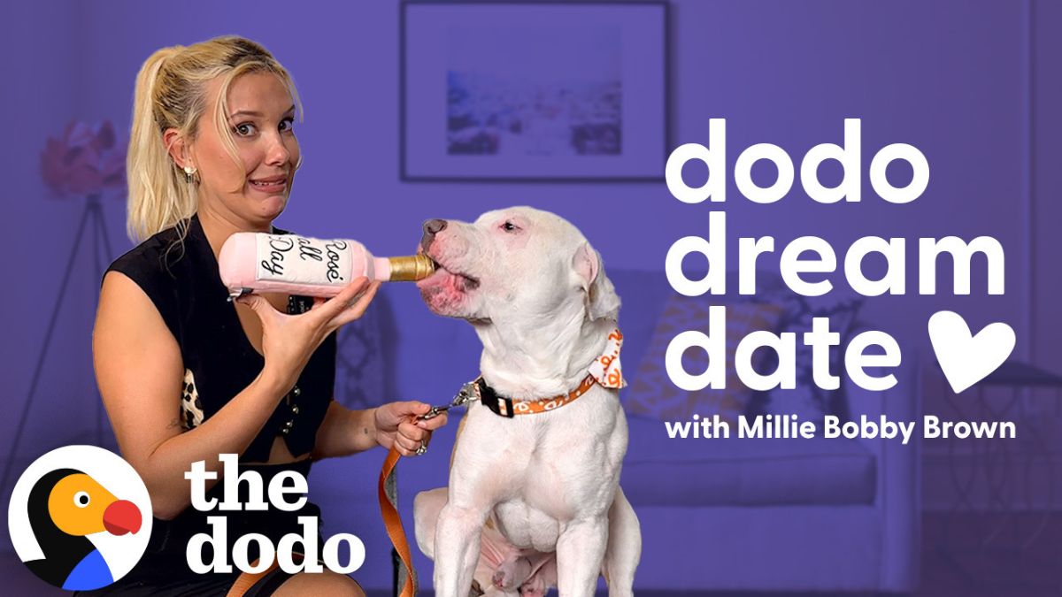 Dodo_Dream_Date_Hero_Milllie