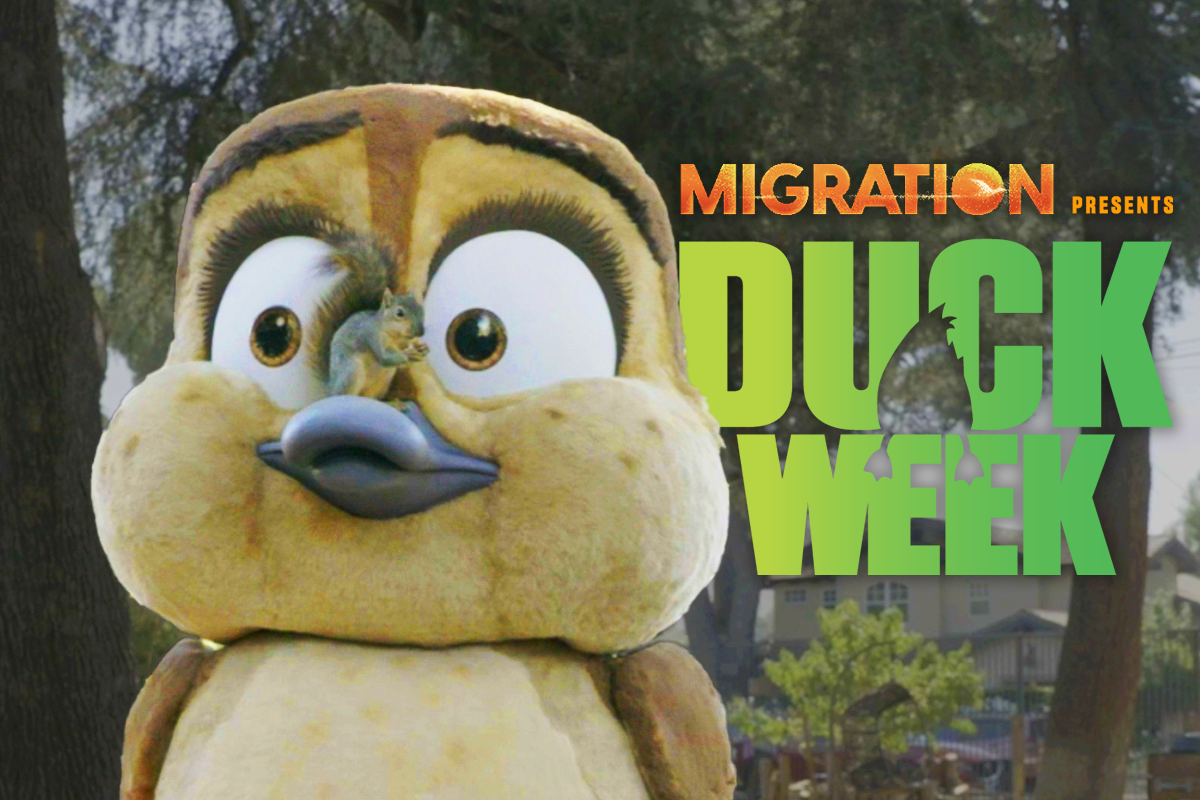Duck_Week_Thumbnail_2.png
