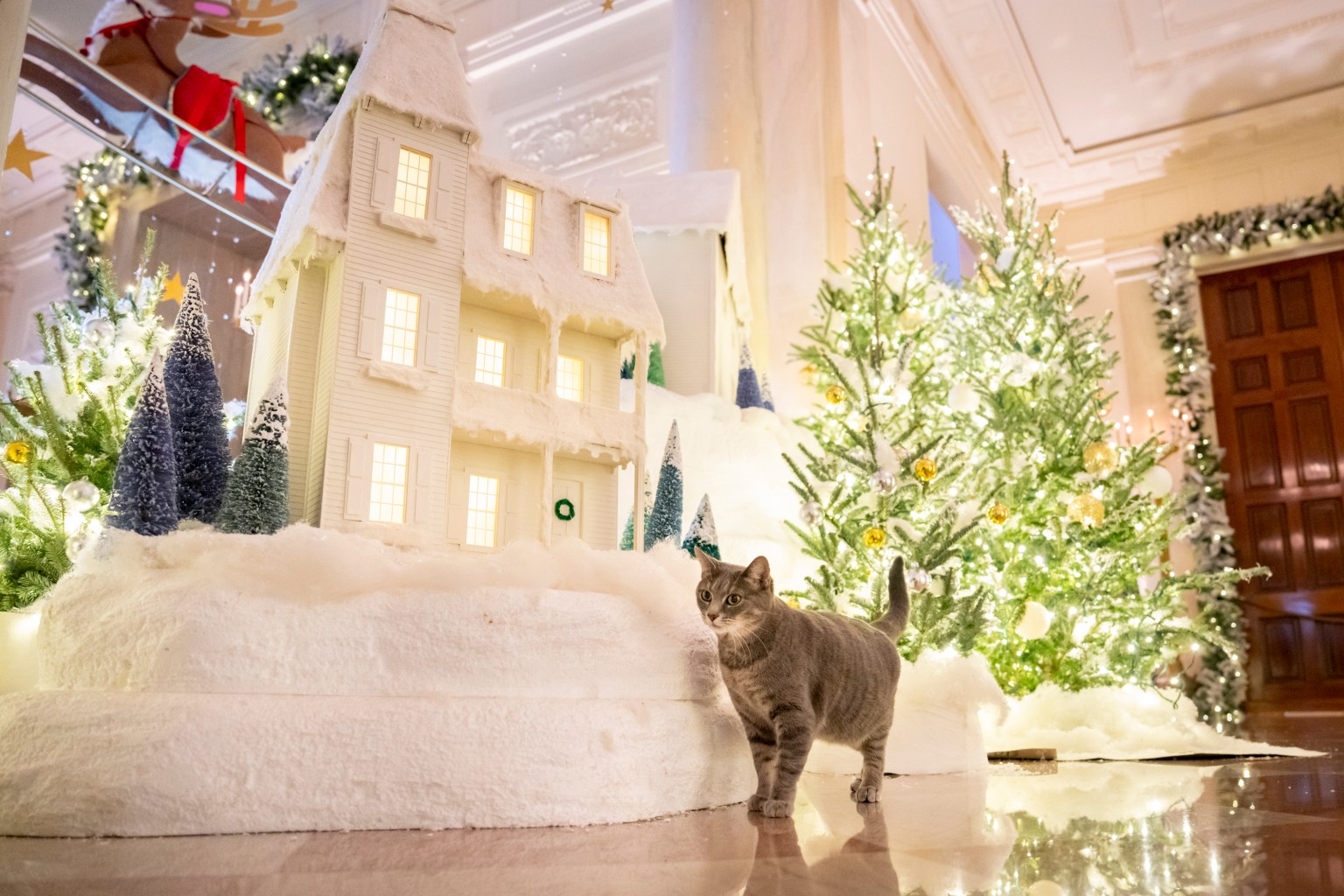 F20231129ES-0043 First Cat Willow tours the holiday decorations on the State Floor of the White House, Wednesday, November 29, 2023. (Official White House Photo by Erin Scott)