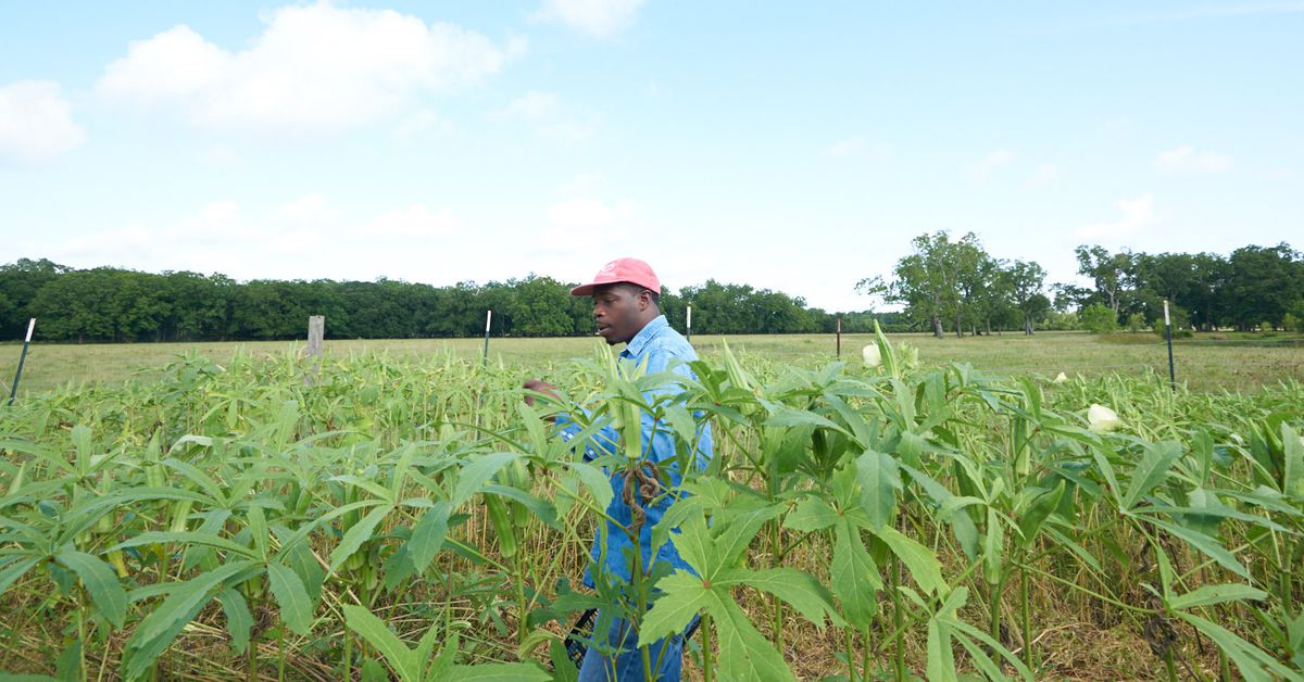 jeremy_peaches jeremy_peaches