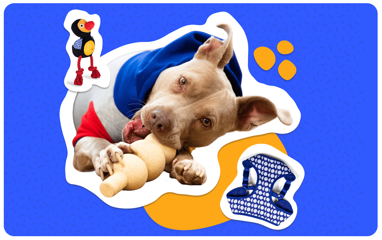 vmbl1056_220825_dodo_x_walmart_durables vmbl1056_220825_dodo_x_walmart_durables